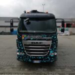 DAF 310